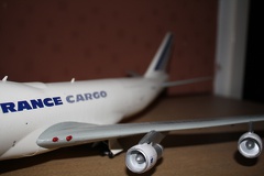 IMG 4629