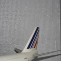 IMG 7223