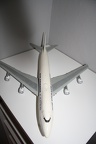 IMG 7228