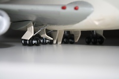 IMG 7229