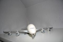 IMG 7238