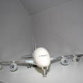IMG 7238
