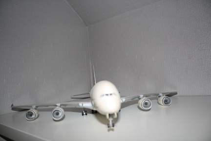 IMG 7238
