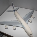 IMG 7239