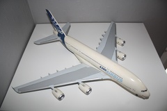 IMG 7240