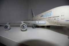 IMG 7241