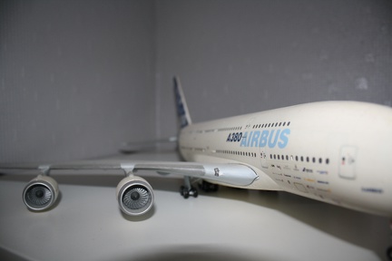 IMG 7242
