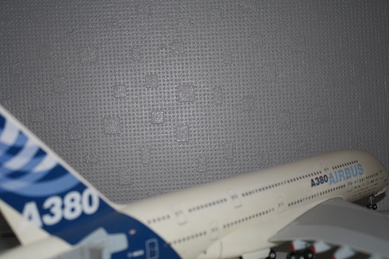 IMG 7283