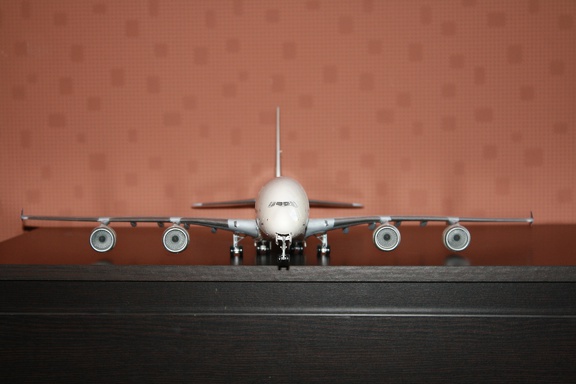 IMG 1525