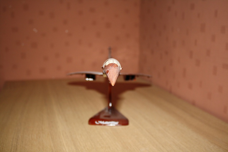 IMG 4641