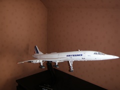 P7030005