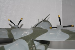 IMG 7281