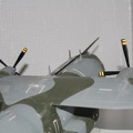 IMG 7281