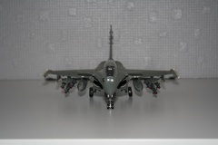 IMG 7255