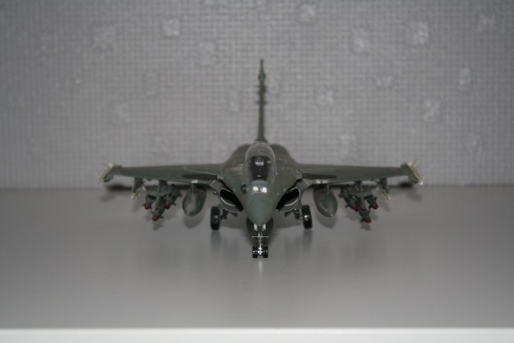 IMG 7255