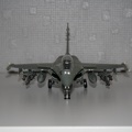 IMG 7255