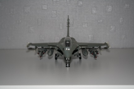 IMG 7255