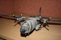 IMG 4635