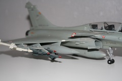 IMG 7257