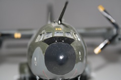 IMG 7245