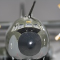IMG 7245