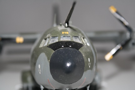 IMG 7245
