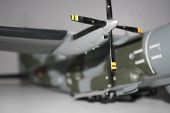 IMG 7246