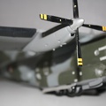 IMG 7246