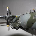 IMG 7248