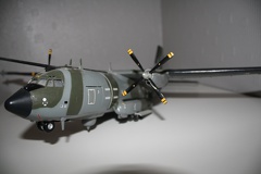 IMG 7249
