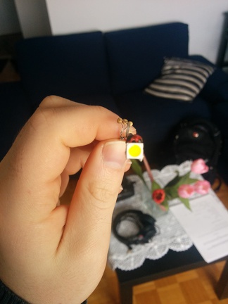 IMG-20150403-WA0006